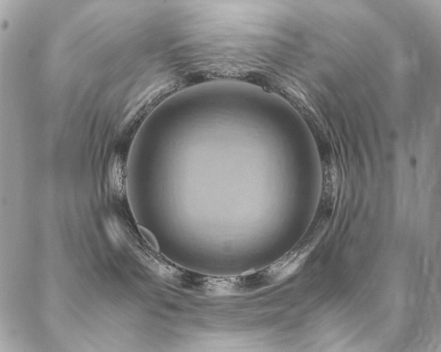 X0000089370143200706151208