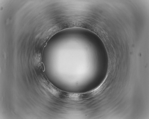 X0000089370144200706151208