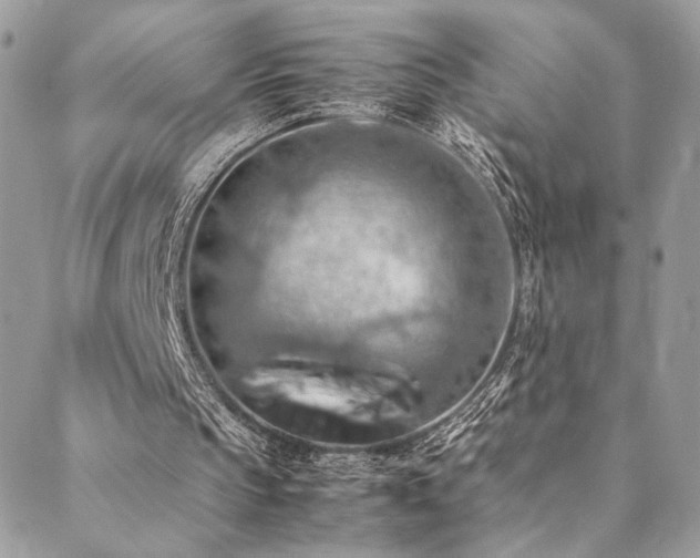 X0000089370145200706151207