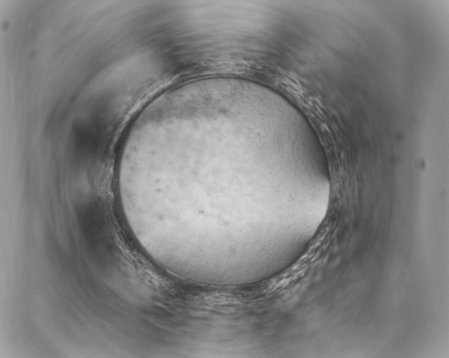 X0000089370146200706151207
