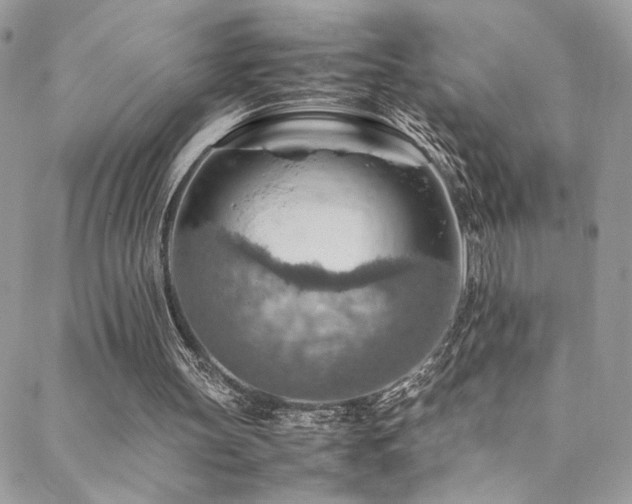 X0000089370147200706151207