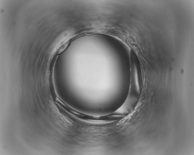 X0000089370150200706151207