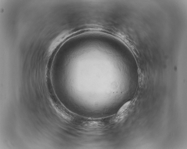 X0000089370151200706151207