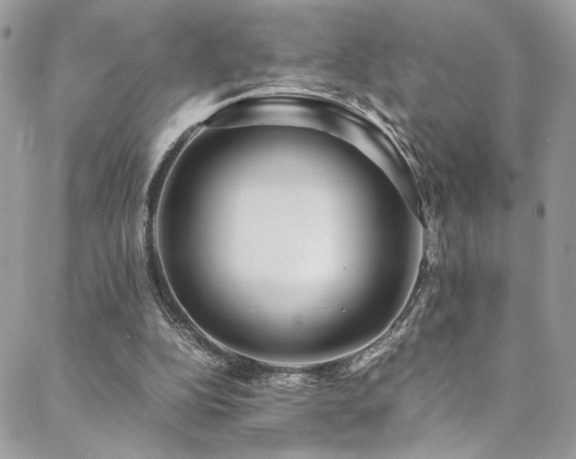 X0000089370152200706151207