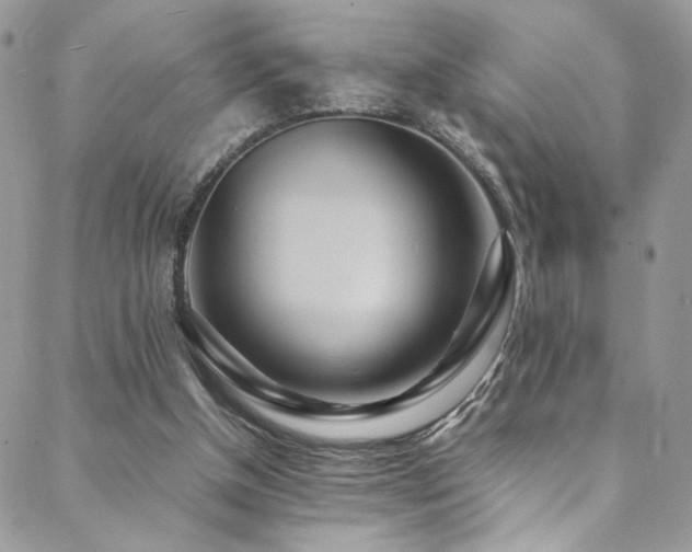 X0000089370154200706151207
