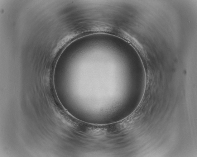 X0000089370155200706151207