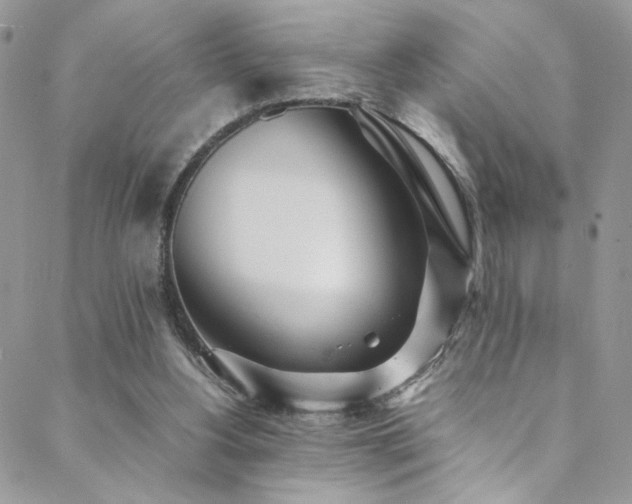X0000089370156200706151207