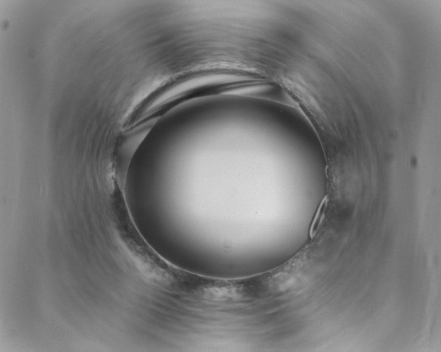 X0000089370160200706151207