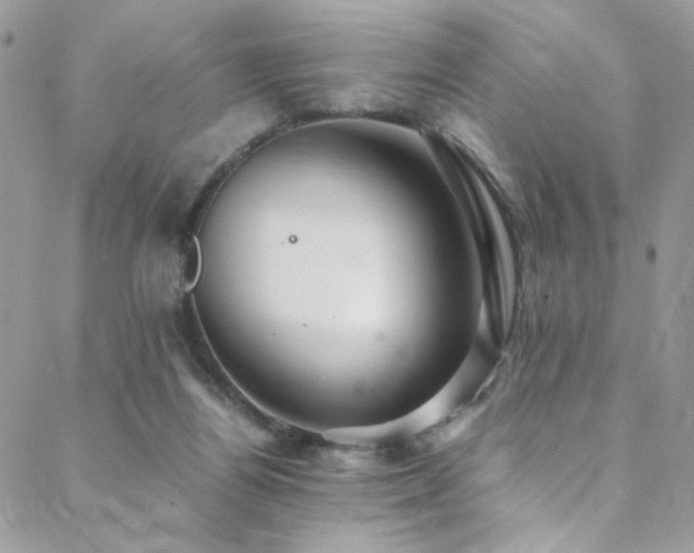 X0000089370164200706151207