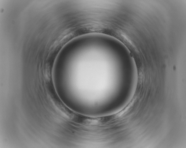 X0000089370170200706151207