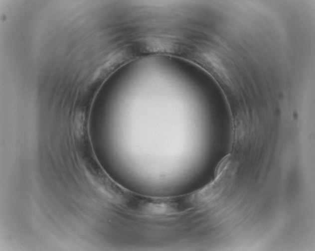 X0000089370171200706151207