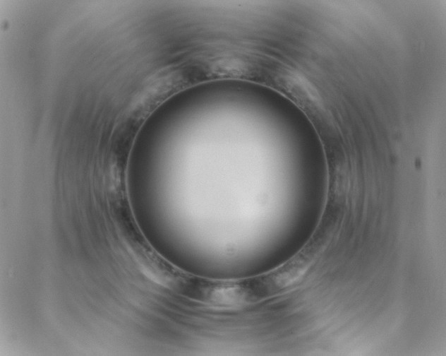 X0000089370173200706151207