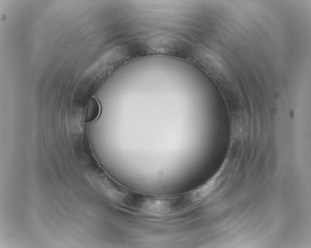 X0000089370174200706151207