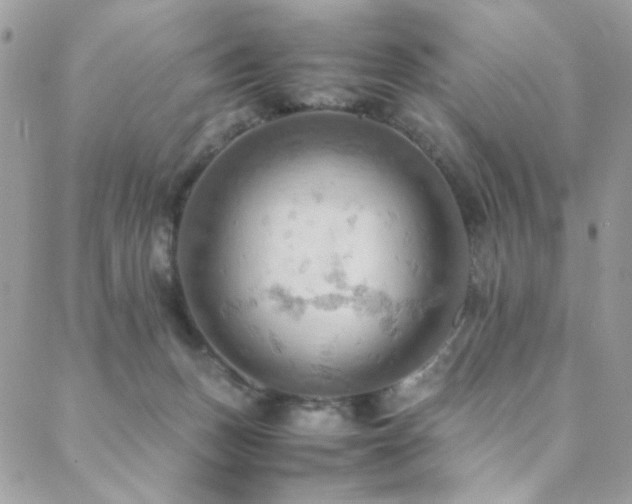 X0000089370175200706151207