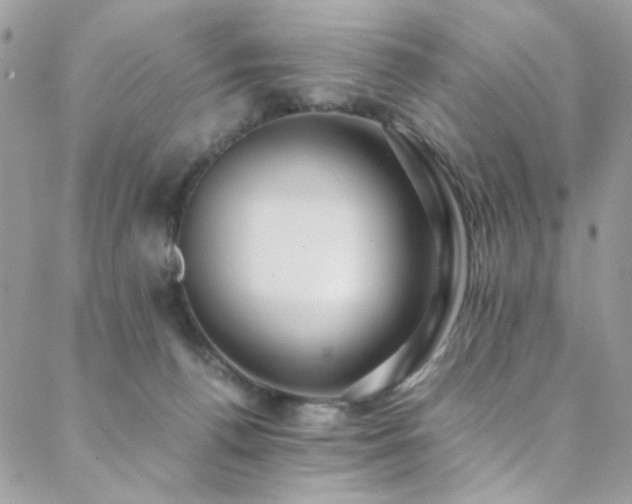 X0000089370176200706151207