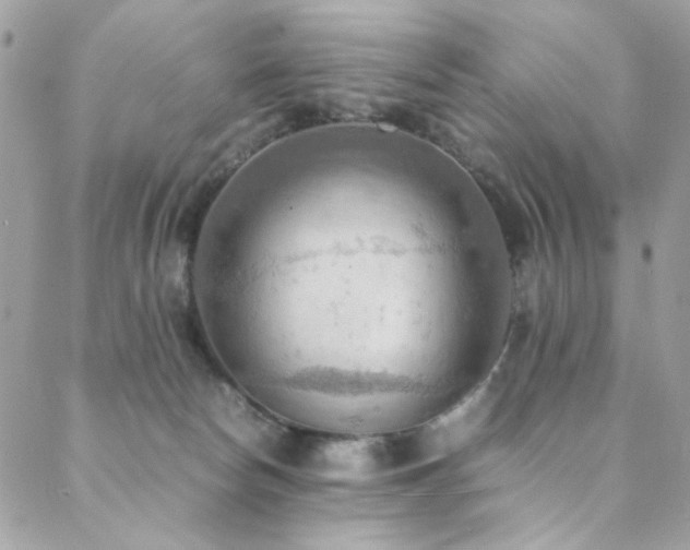 X0000089370178200706151207