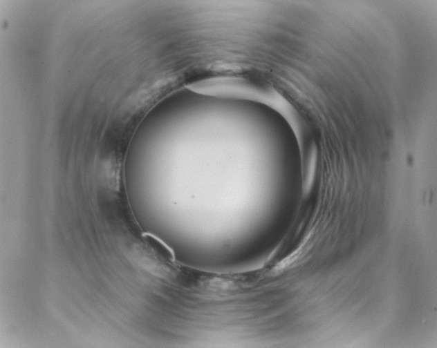 X0000089370180200706151207