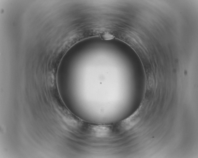 X0000089370183200706151208