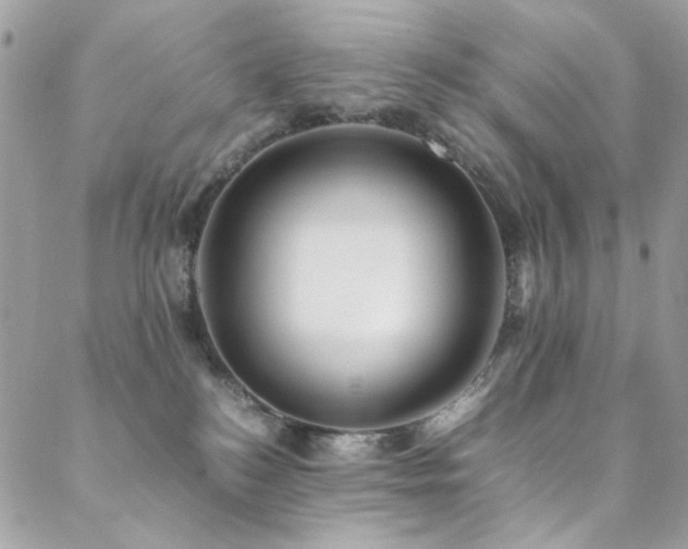 X0000089370184200706151208