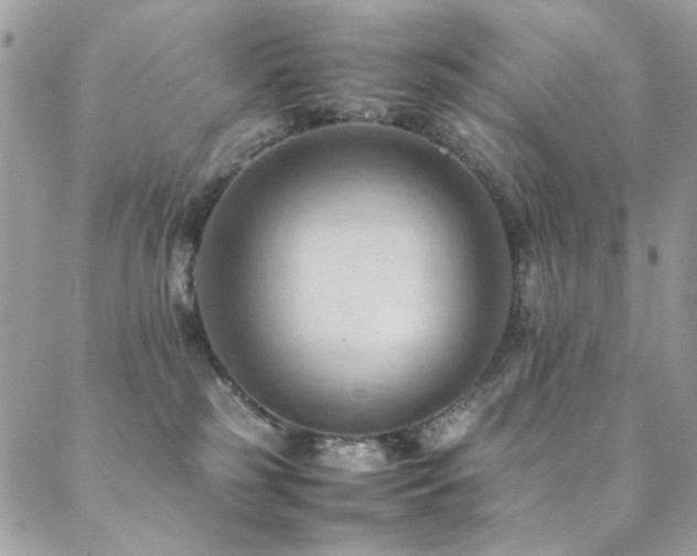 X0000089370185200706151208