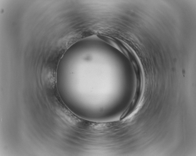 X0000089370186200706151208