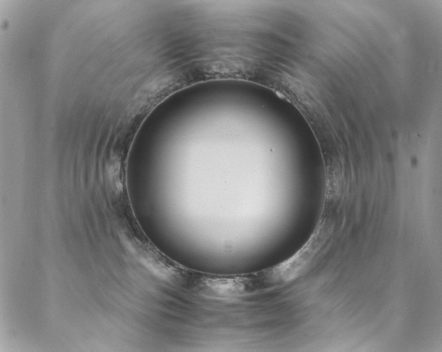X0000089370187200706151208