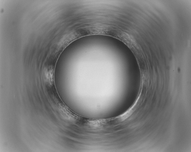 X0000089370190200706151208