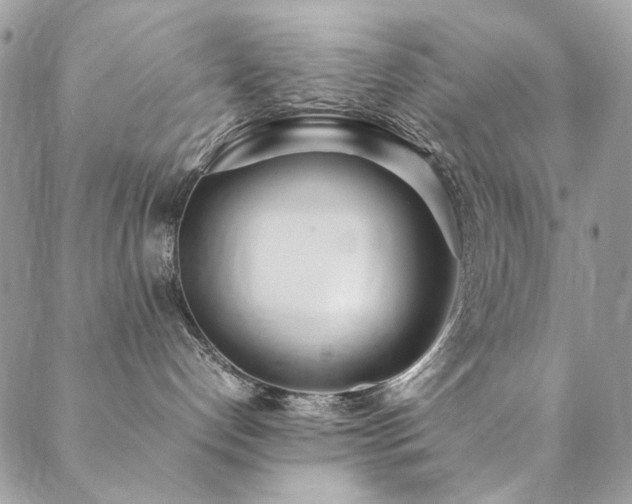 X0000089370192200706151208