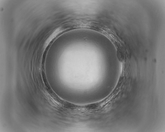 X0000089370195200706151207