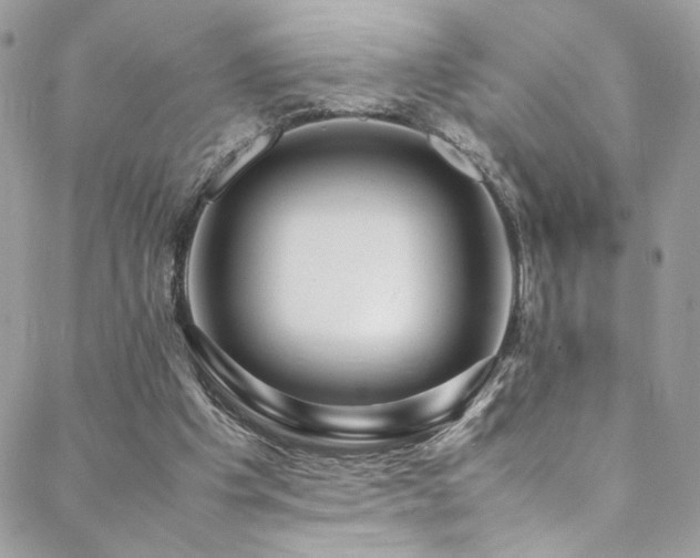 X0000089370201200706151207