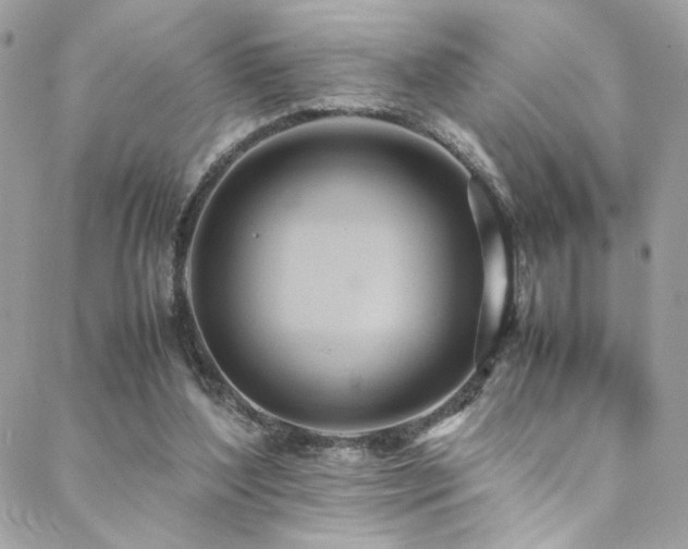 X0000089370204200706151207