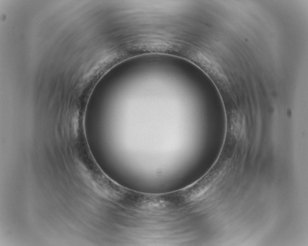 X0000089370206200706151207