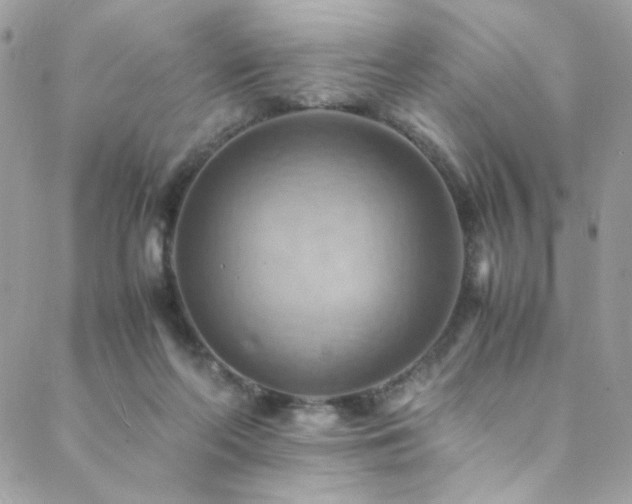 X0000089370214200706151207