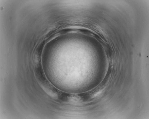 X0000089370215200706151207