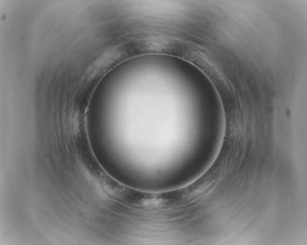 X0000089370216200706151207