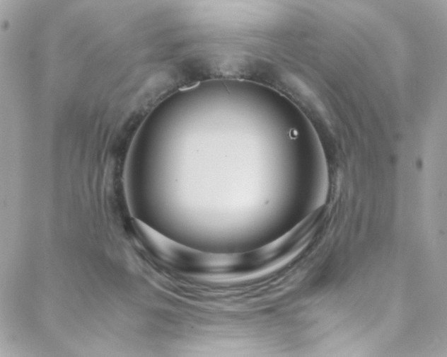 X0000089370217200706151207