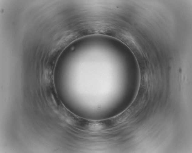 X0000089370218200706151207