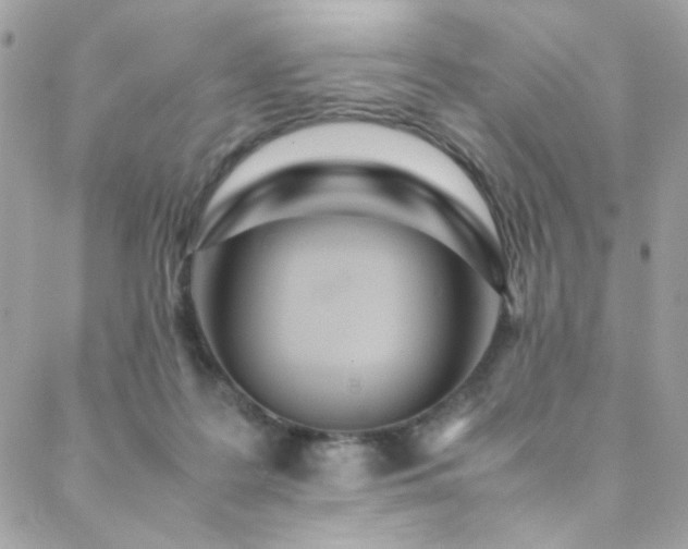X0000089370219200706151206