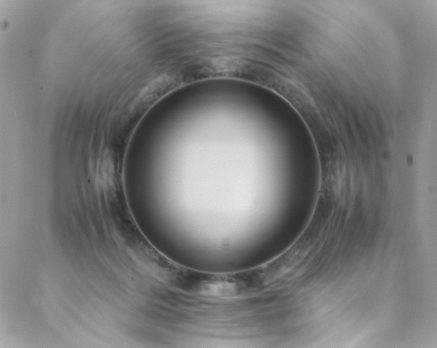 X0000089370220200706151206