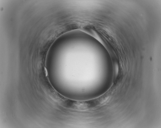 X0000089370221200706151206