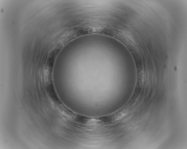 X0000089370222200706151206