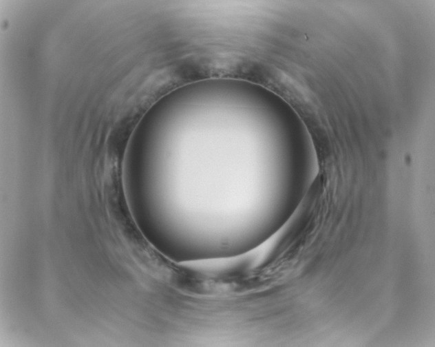 X0000089370225200706151206
