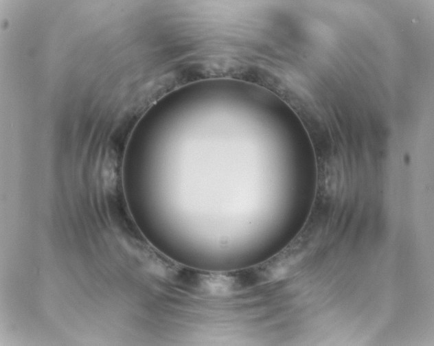 X0000089370226200706151206