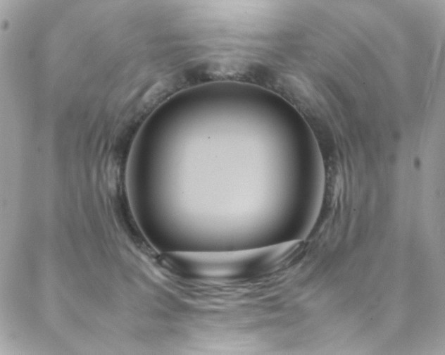 X0000089370227200706151206