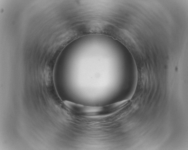 X0000089370228200706151206