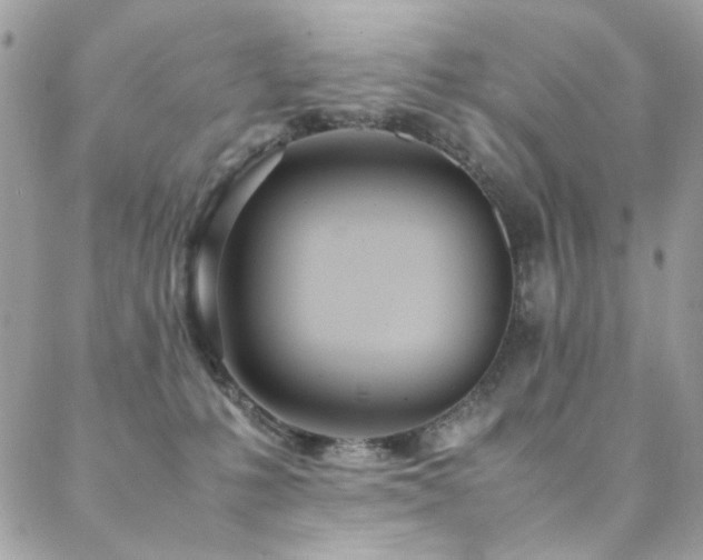 X0000089370231200706151206