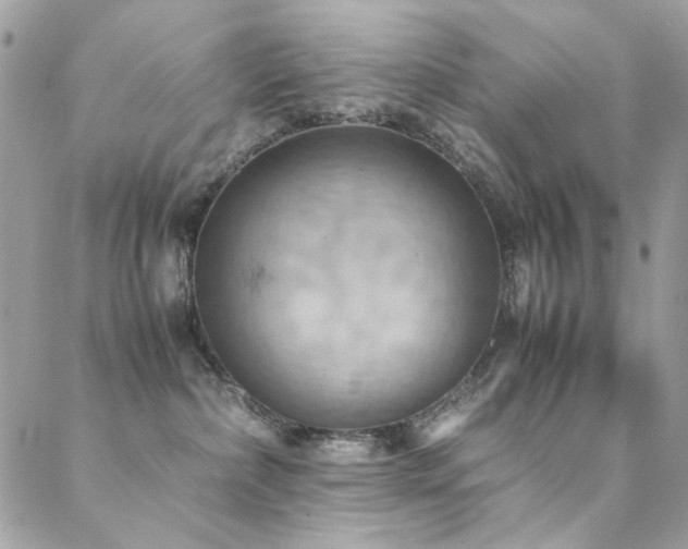 X0000089370236200706151206