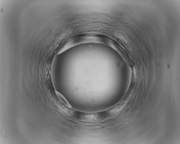 X0000089370237200706151206