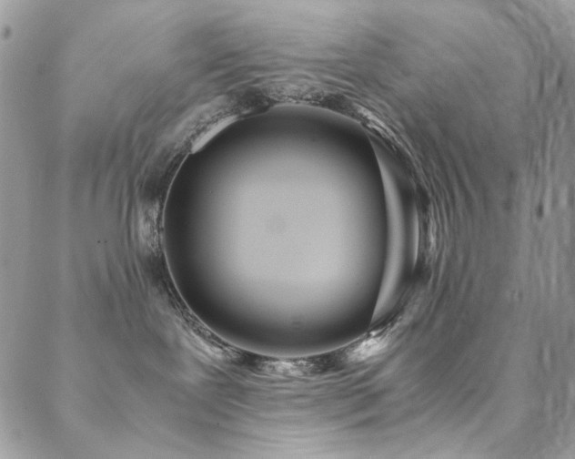 X0000089370239200706151206