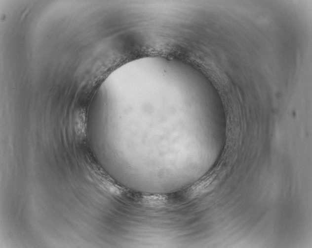 X0000089370240200706151206